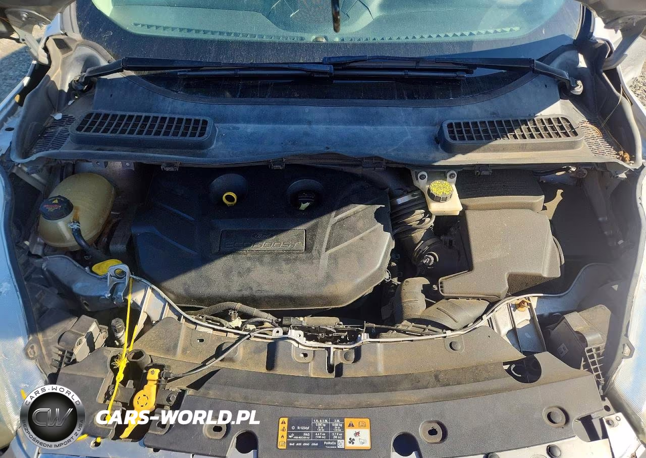 2017 Ford Escape Titanium VIN:1FMCU0J94HUC12821 - 12
