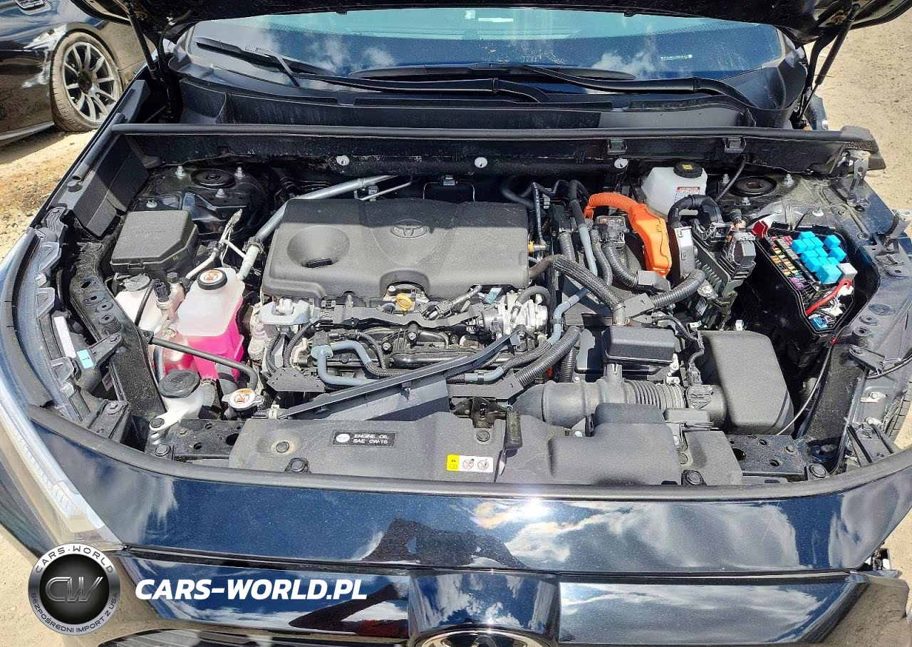 2025 Toyota Rav4 Le VIN:2T3LWRFV1SW256472 - 12