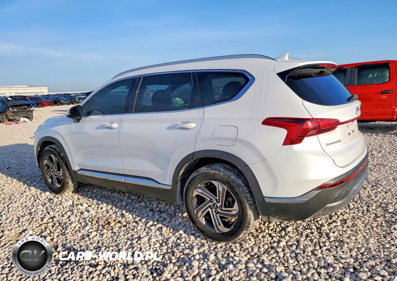 2022 Hyundai Santa Fe Sel VIN:5NMS24AJ4NH419798 - 2