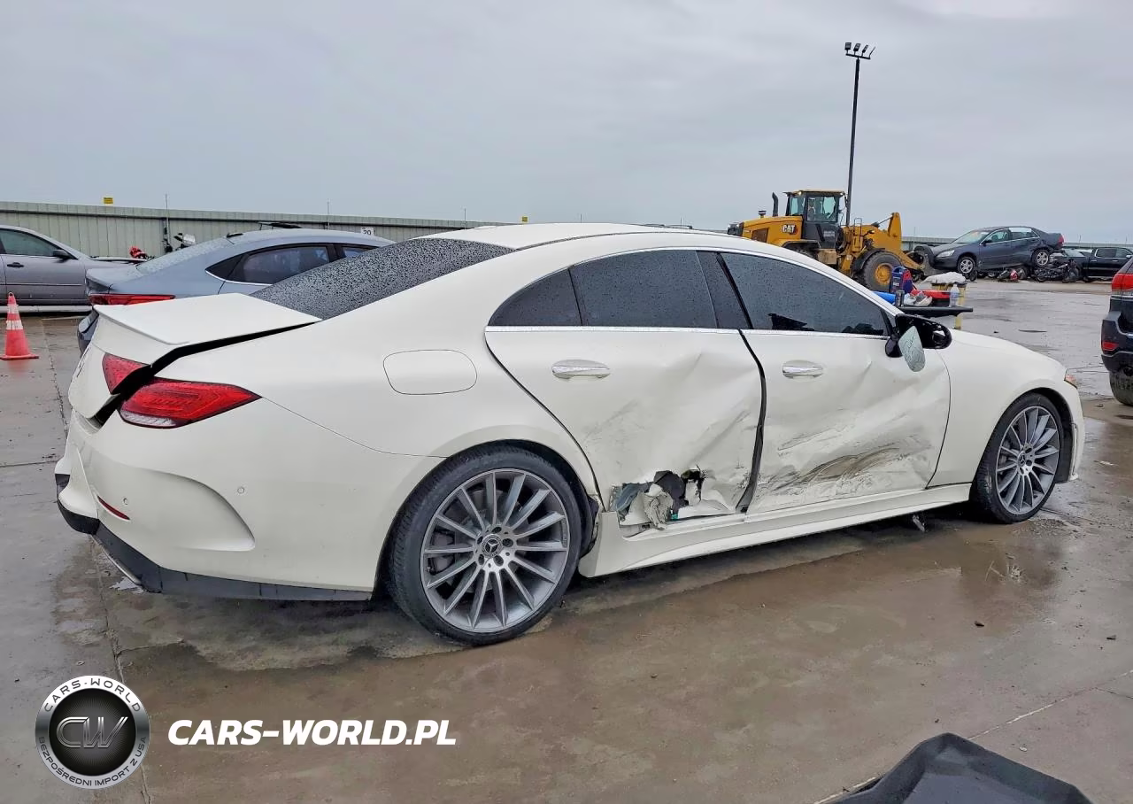 2019 Mercedes-Benz Cls 450 VIN:WDD2J5JB0KA044019 - 3