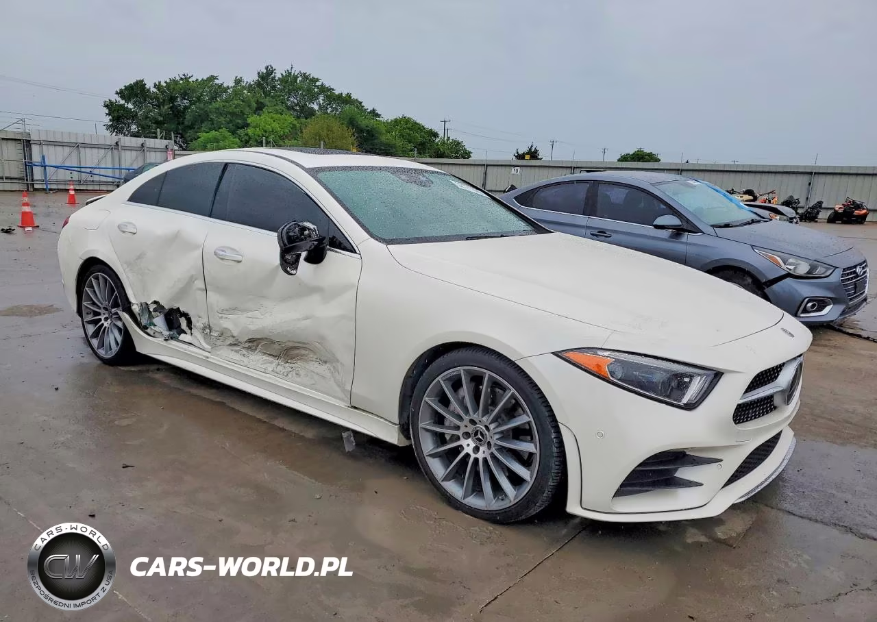 2019 Mercedes-Benz Cls 450 VIN:WDD2J5JB0KA044019 - 4