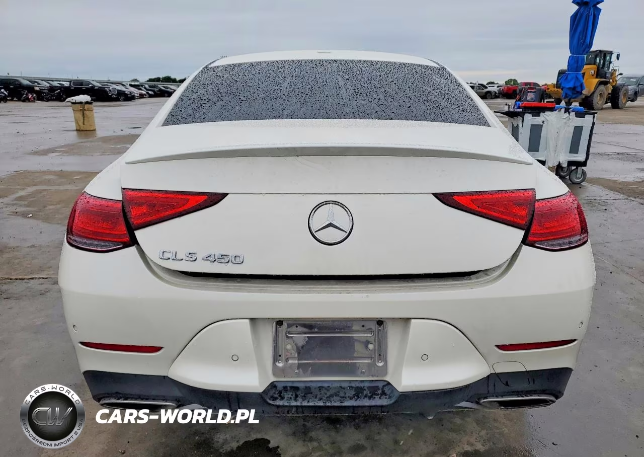 2019 Mercedes-Benz Cls 450 VIN:WDD2J5JB0KA044019 - 6