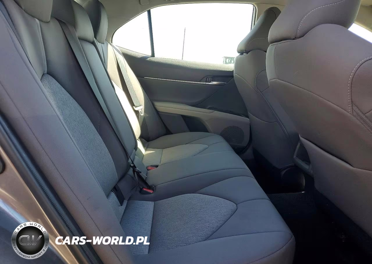 2023 Toyota Camry Le VIN:4T1C11BK5PU087066 - 10