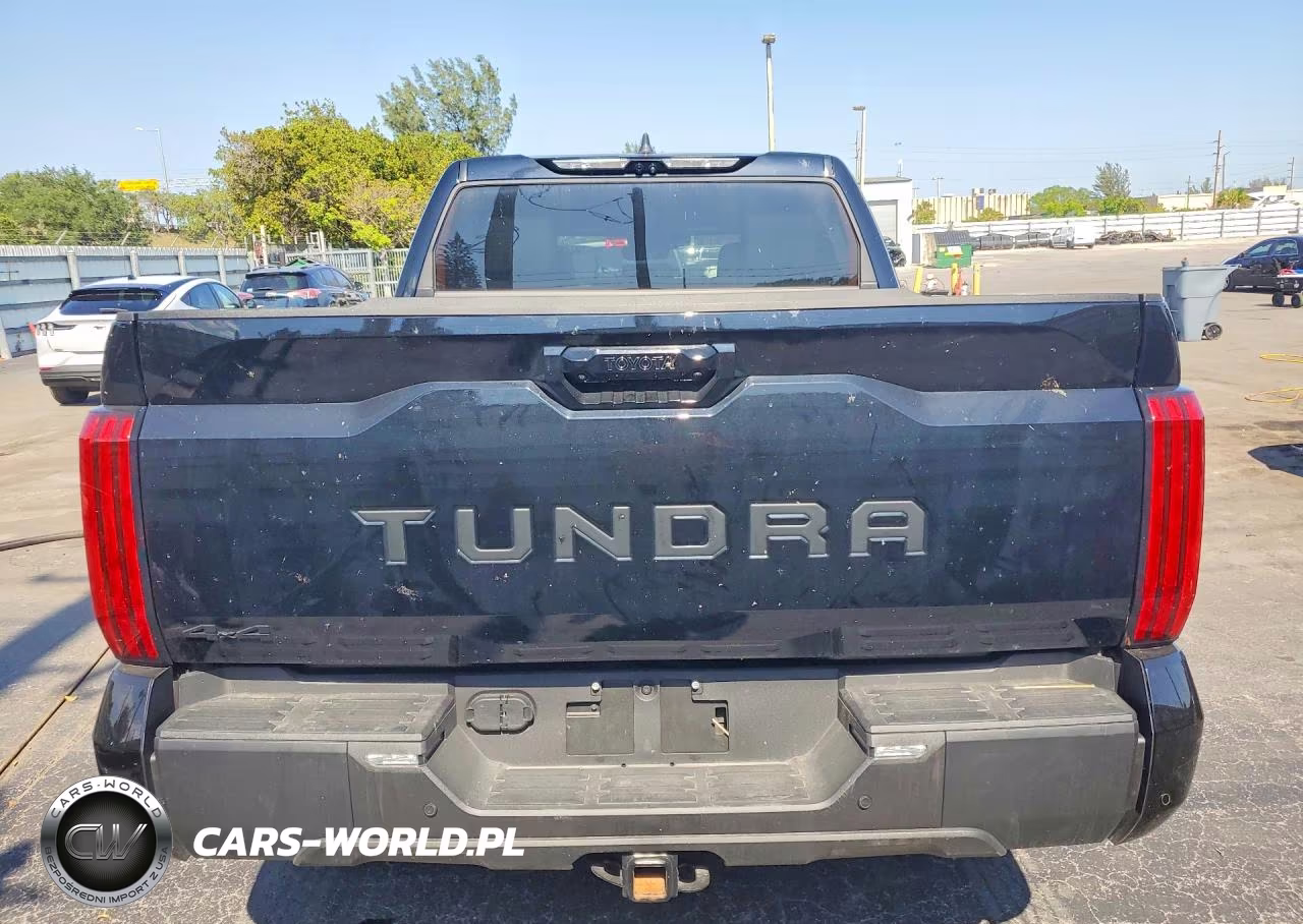 2025 Toyota Tundra Crewmax Limited VIN:5TFWA5DB5SX280699 - 6