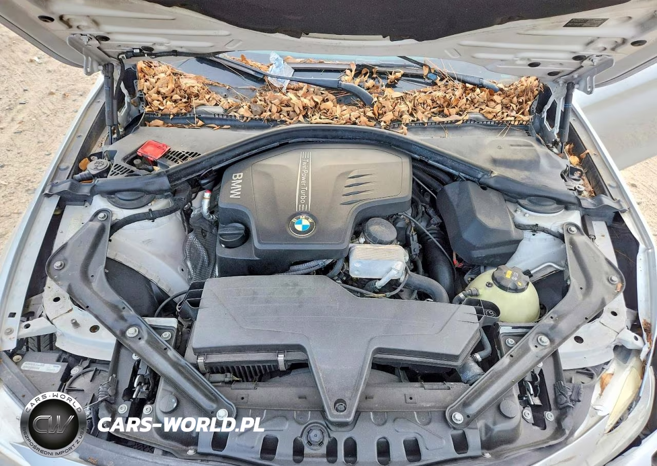2014 BMW 428 I Sulev VIN:WBA3V7C57EP770562 - 11