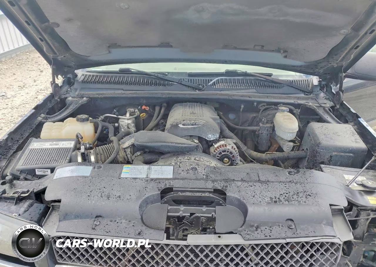 2003 Chevrolet Silverado K1500 VIN:2GCEK19V231160779 - 11