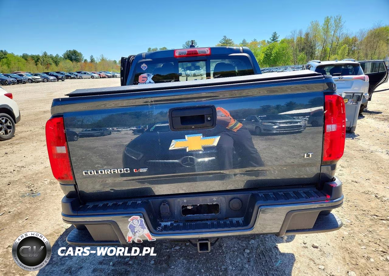 2019 Chevrolet Colorado Lt VIN:1GCGTCEN9K1210752 - 6
