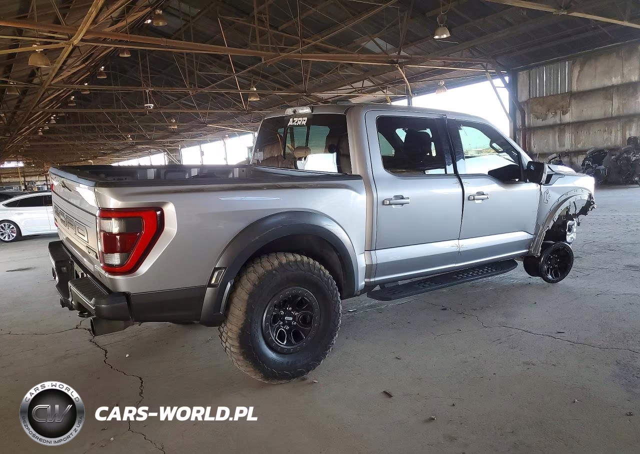 2021 Ford F150 Raptor VIN:1FTFW1RG1MFC59033 - 3