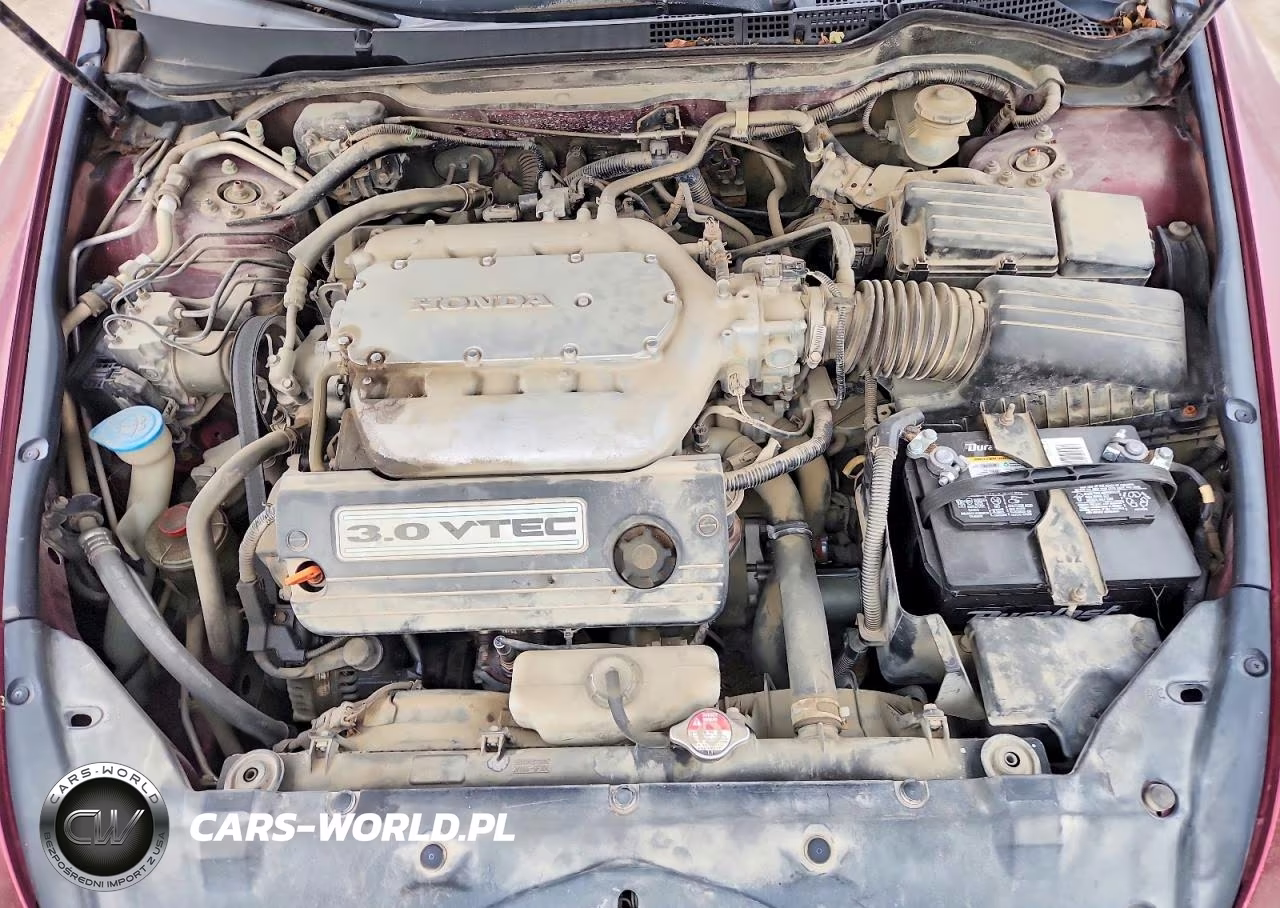 2006 Honda Accord Ex VIN:1HGCM66576A065178 - 11