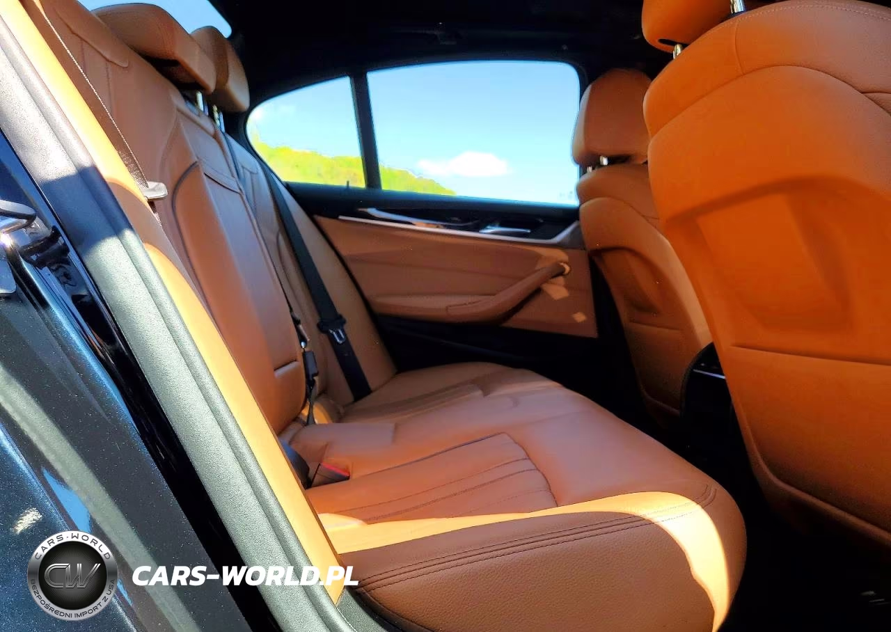 2019 BMW 530I VIN:WBAJA7C58KWC77514 - 10