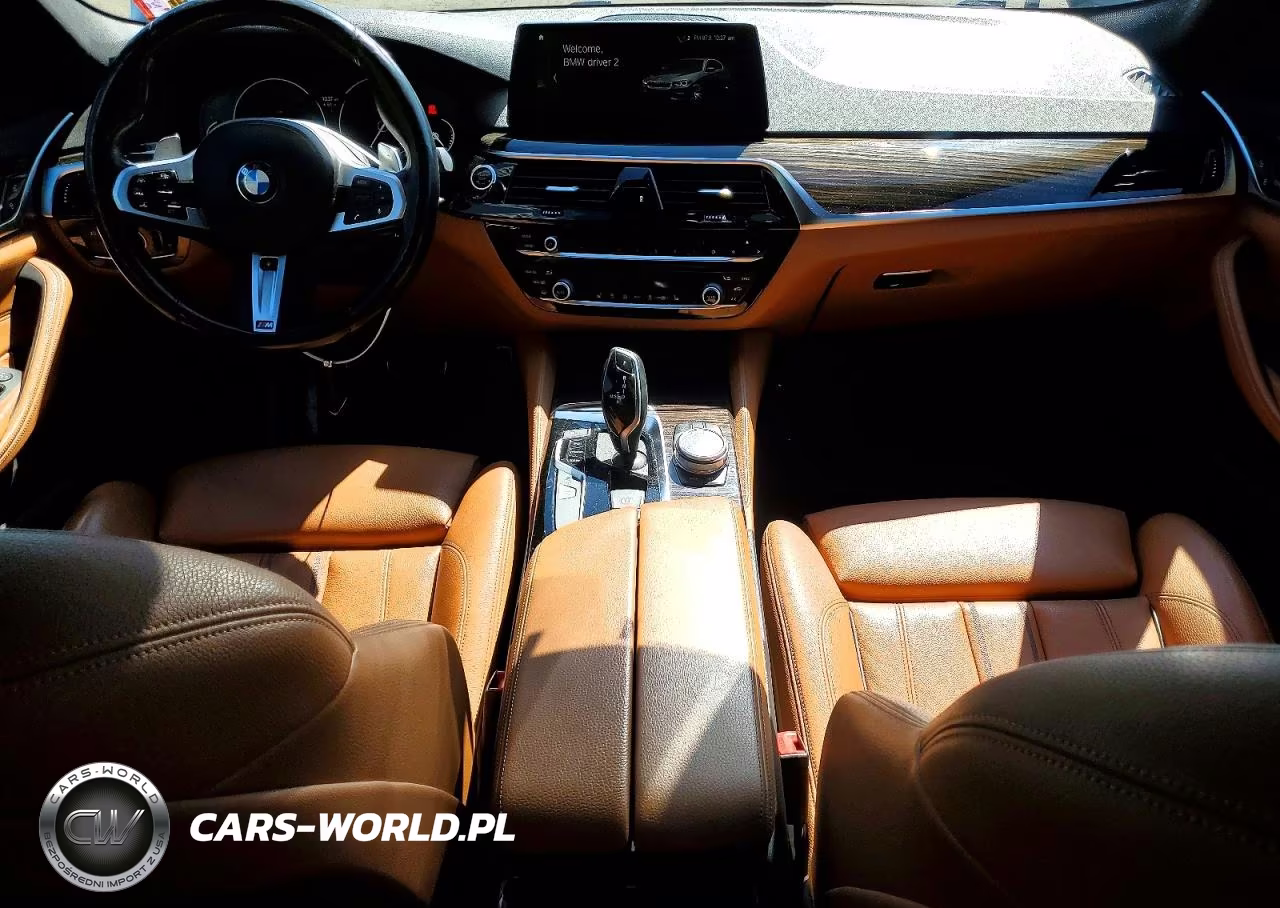2019 BMW 530I VIN:WBAJA7C58KWC77514 - 8