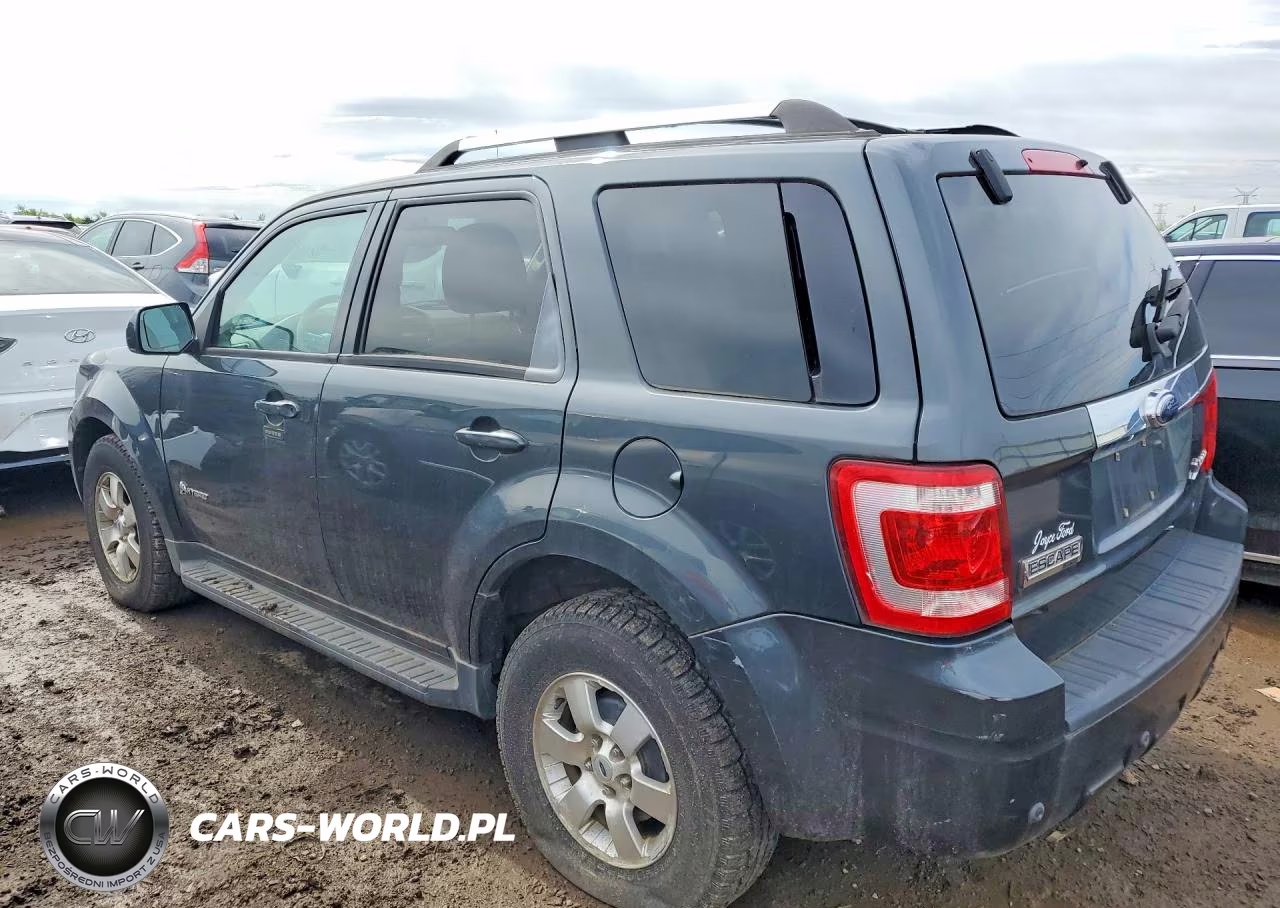 2009 Ford Escape Hybrid VIN:1FMCU59369KA56100 - 2
