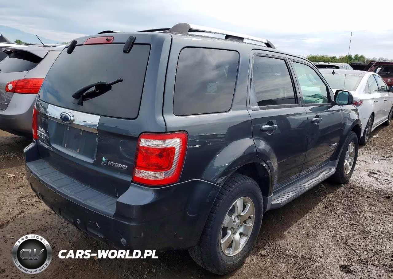 2009 Ford Escape Hybrid VIN:1FMCU59369KA56100 - 3