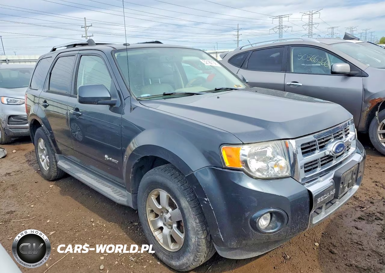 2009 Ford Escape Hybrid VIN:1FMCU59369KA56100 - 4