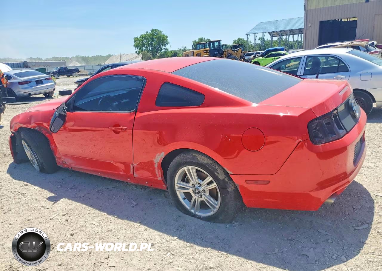 2013 Ford Mustang VIN:1ZVBP8AM8D5203406 - 2
