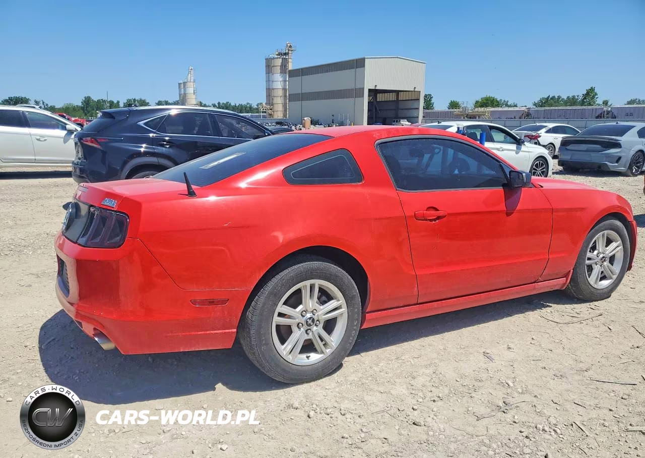 2013 Ford Mustang VIN:1ZVBP8AM8D5203406 - 3