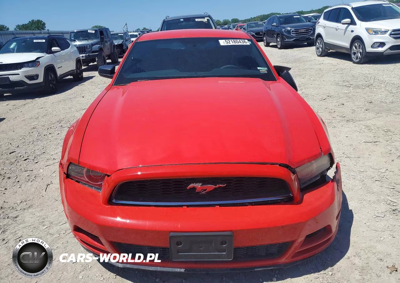 2013 Ford Mustang VIN:1ZVBP8AM8D5203406 - 5