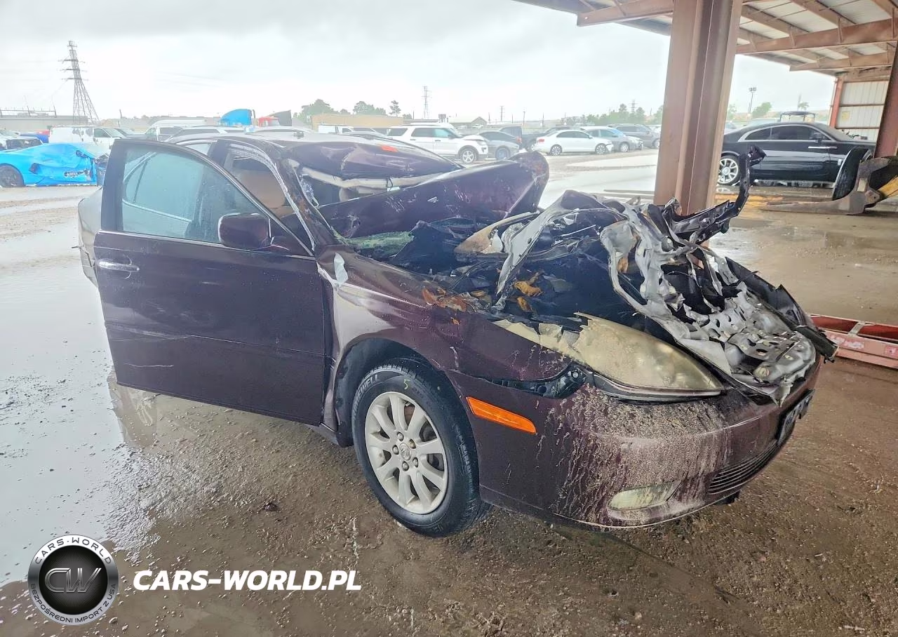2002 Lexus Es 300 VIN:JTHBF30GX20055661 - 4