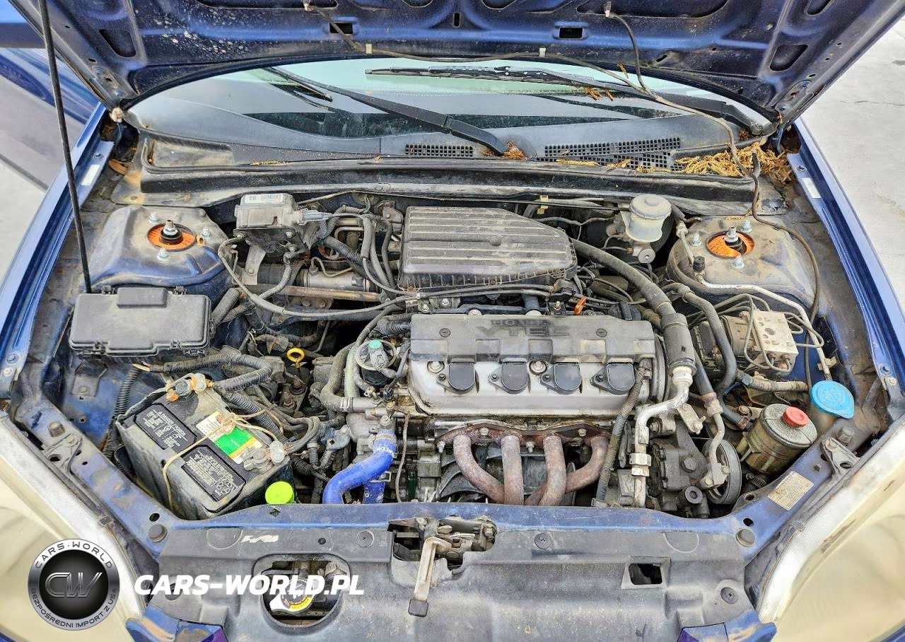 2002 Honda Civic Ex VIN:1HGEM22982L087117 - 11