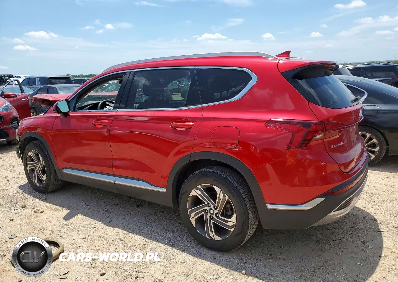 2021 Hyundai Santa Fe Sel VIN:5NMS24AJXMH335564 - 2