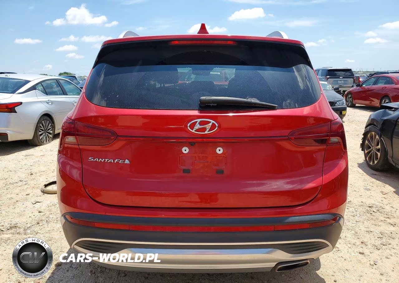 2021 Hyundai Santa Fe Sel VIN:5NMS24AJXMH335564 - 6
