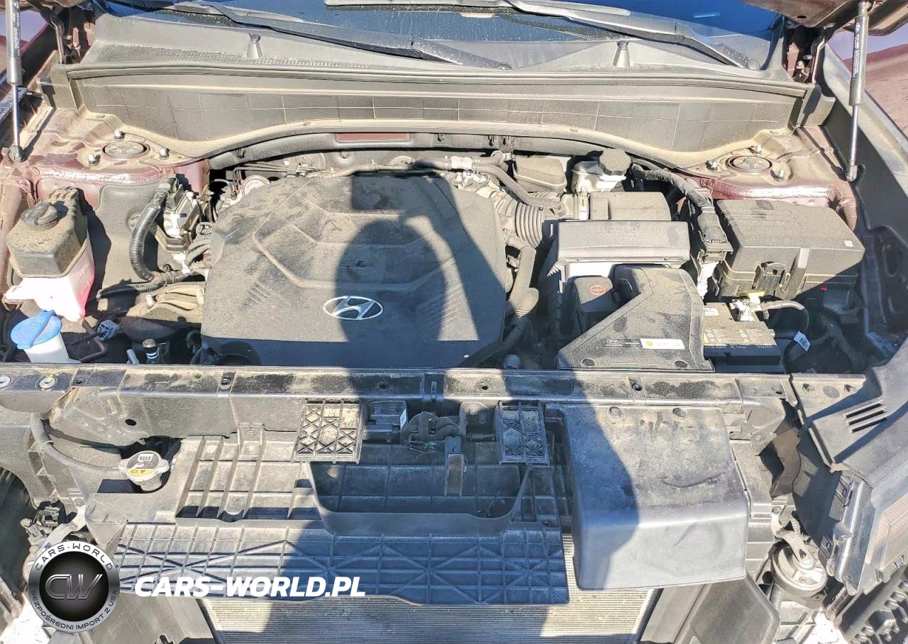 2024 Hyundai Palisade Limited VIN:KM8R5DGE9RU712199 - 12