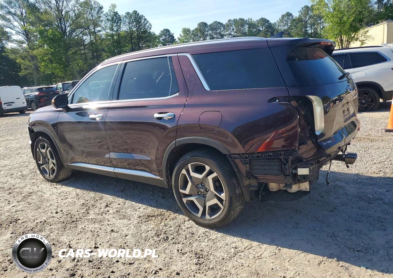 2024 Hyundai Palisade Limited VIN:KM8R5DGE9RU712199 - 2