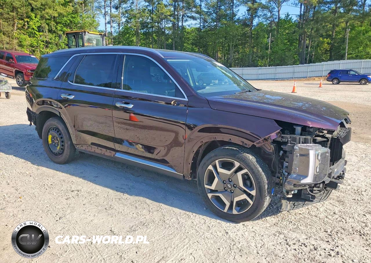 2024 Hyundai Palisade Limited VIN:KM8R5DGE9RU712199 - 4