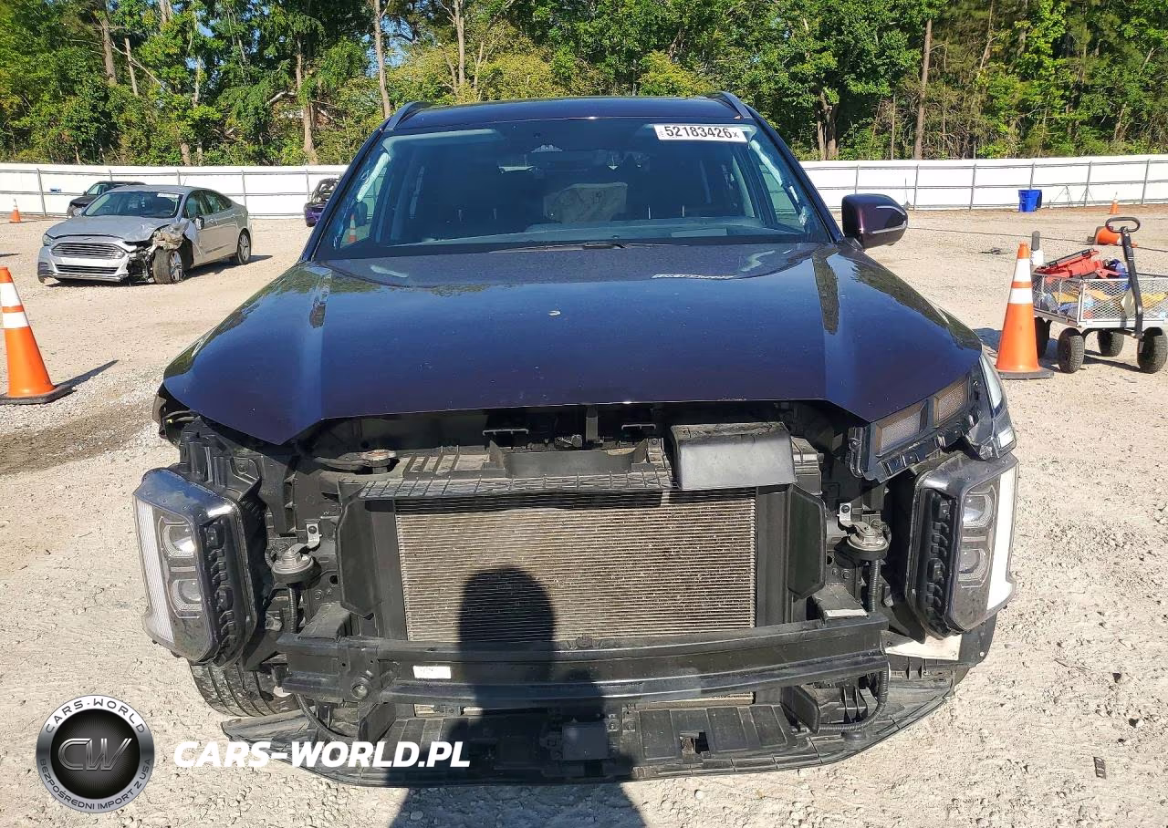 2024 Hyundai Palisade Limited VIN:KM8R5DGE9RU712199 - 5