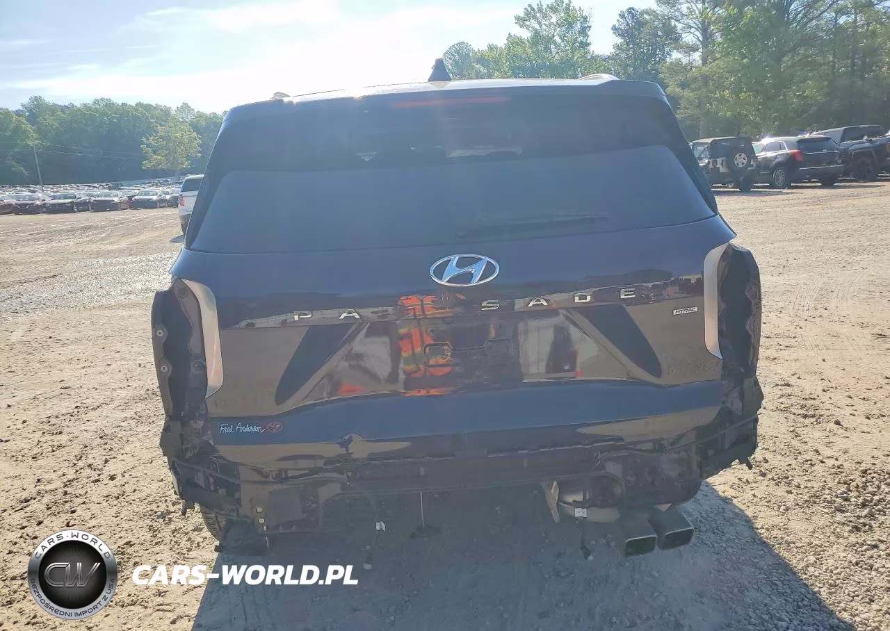 2024 Hyundai Palisade Limited VIN:KM8R5DGE9RU712199 - 6