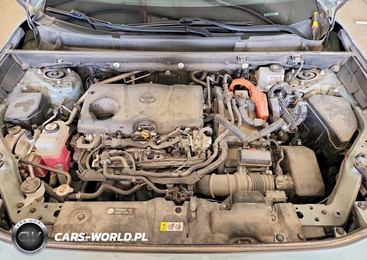 2023 Toyota Rav4 Hybrid Xle VIN:4T3RWRFVXPU087084 - 12