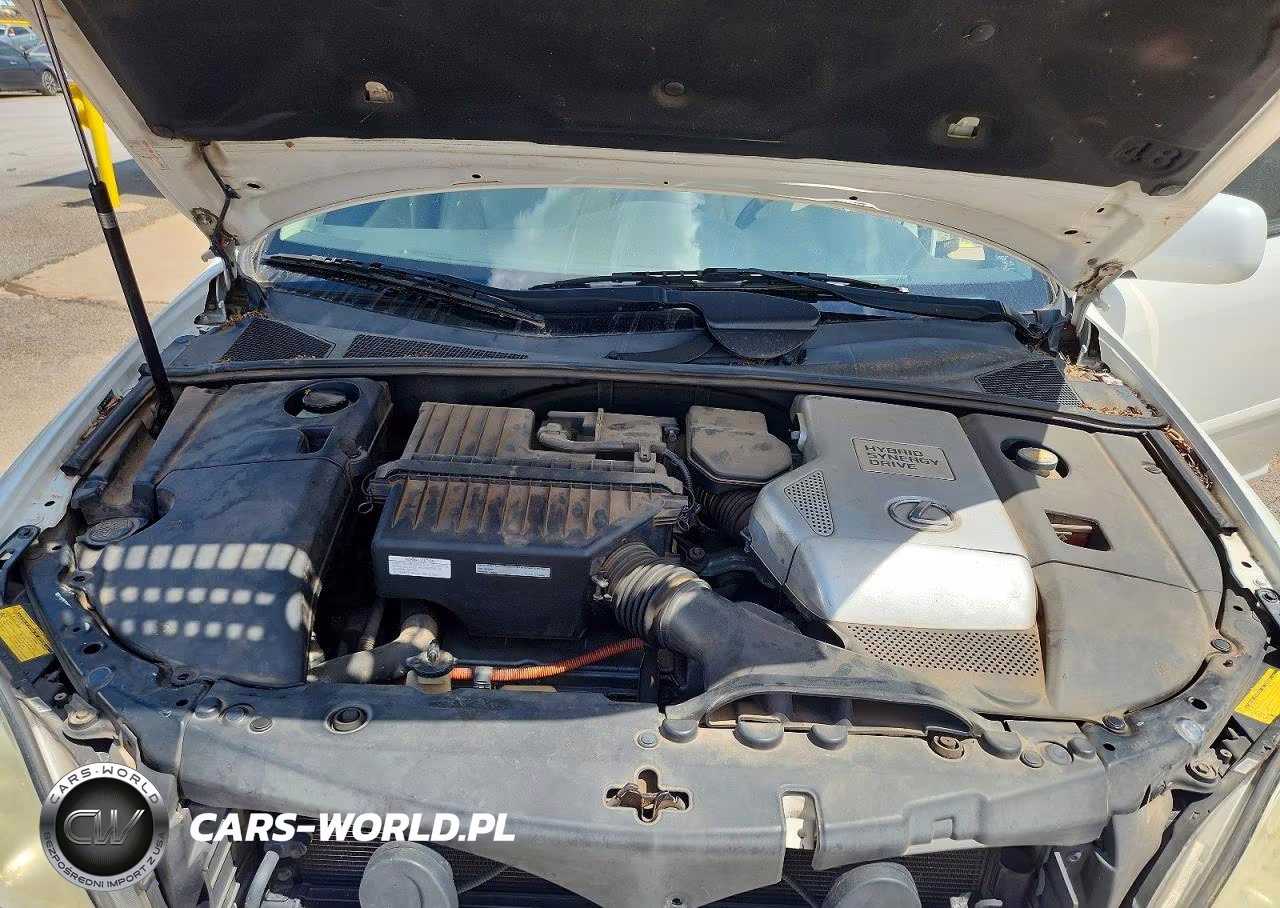 2006 Lexus Rx 400 VIN:JTJGW31U362000617 - 12
