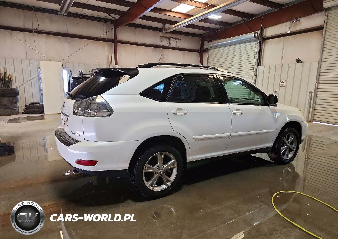 2006 Lexus Rx 400 VIN:JTJGW31U362000617 - 3