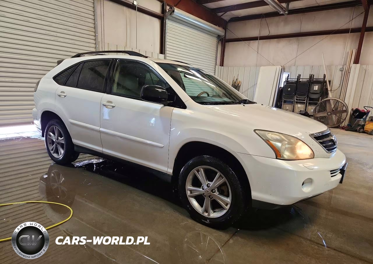 2006 Lexus Rx 400 VIN:JTJGW31U362000617 - 4