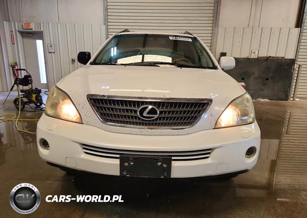 2006 Lexus Rx 400 VIN:JTJGW31U362000617 - 5