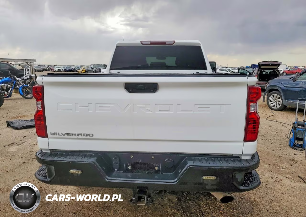 2021 Chevrolet Silverado K2500 Heavy Duty VIN:1GC1YLE77MF115802 - 6