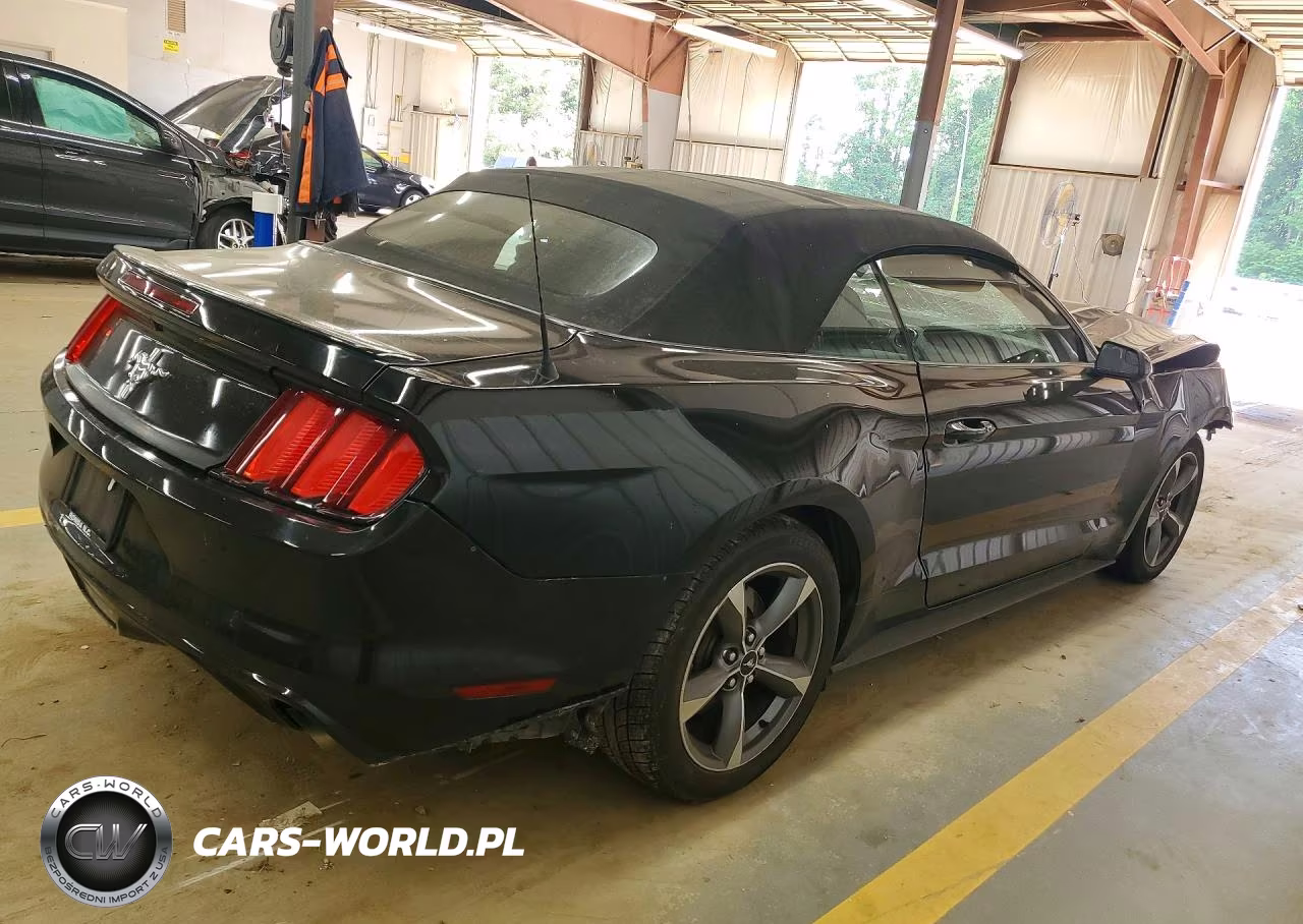 2015 Ford Mustang VIN:1FATP8EM8F5333132 - 3