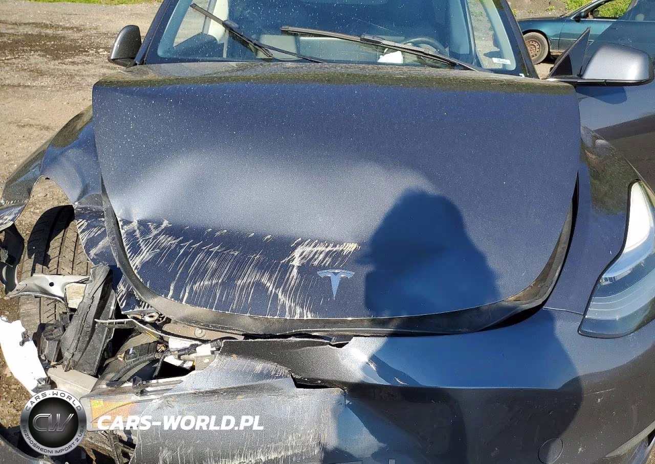 2022 Tesla Model Y VIN:7SAYGDEE3NA013523 - 11