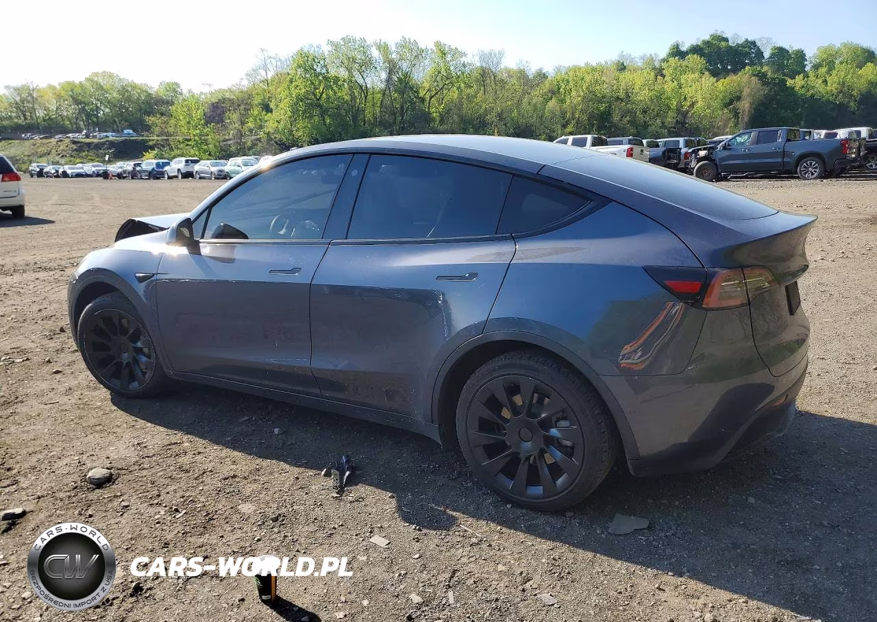 2022 Tesla Model Y VIN:7SAYGDEE3NA013523 - 2