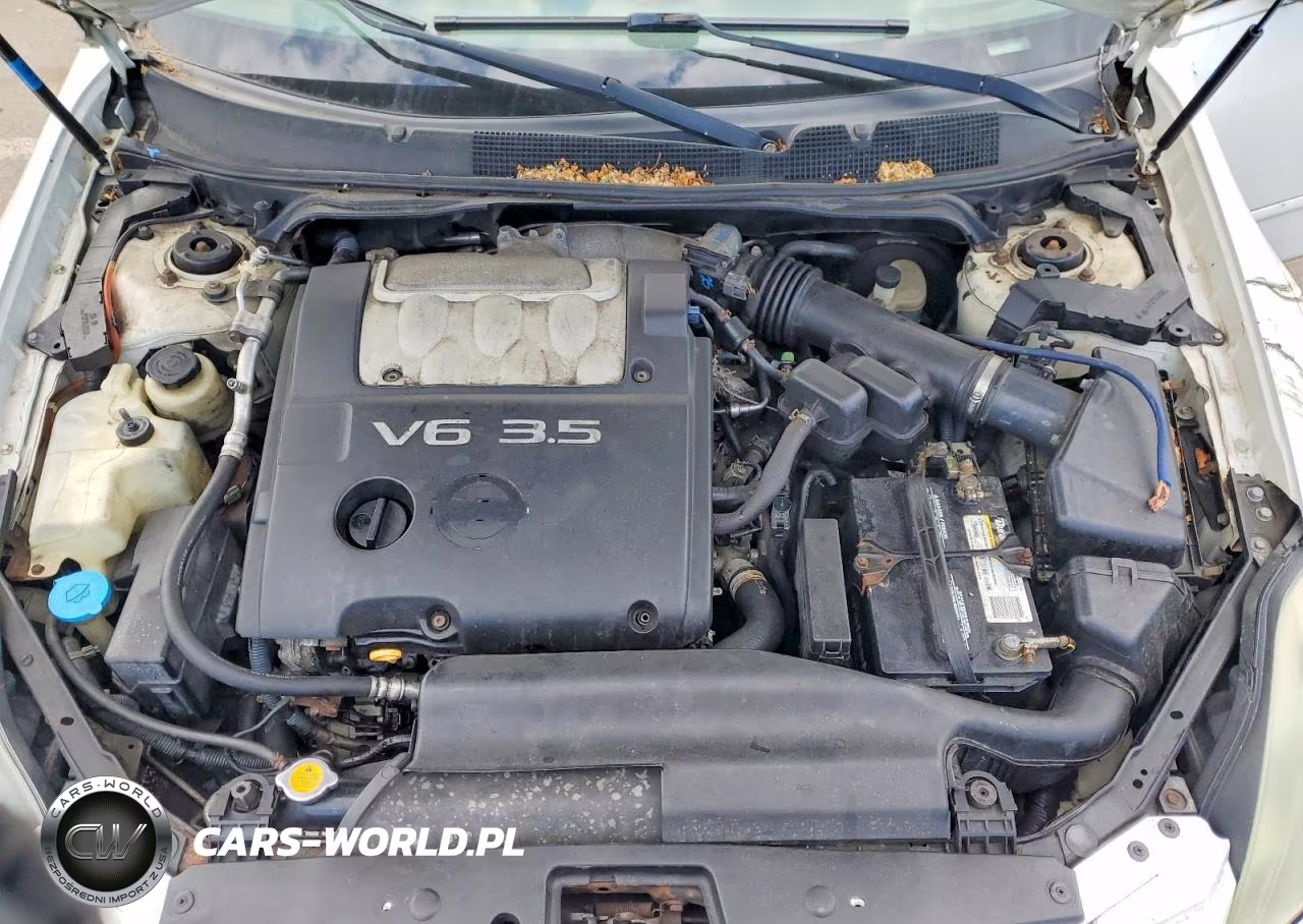 2005 Niss Maxima VIN:1N4BA41E05C816287 - 11