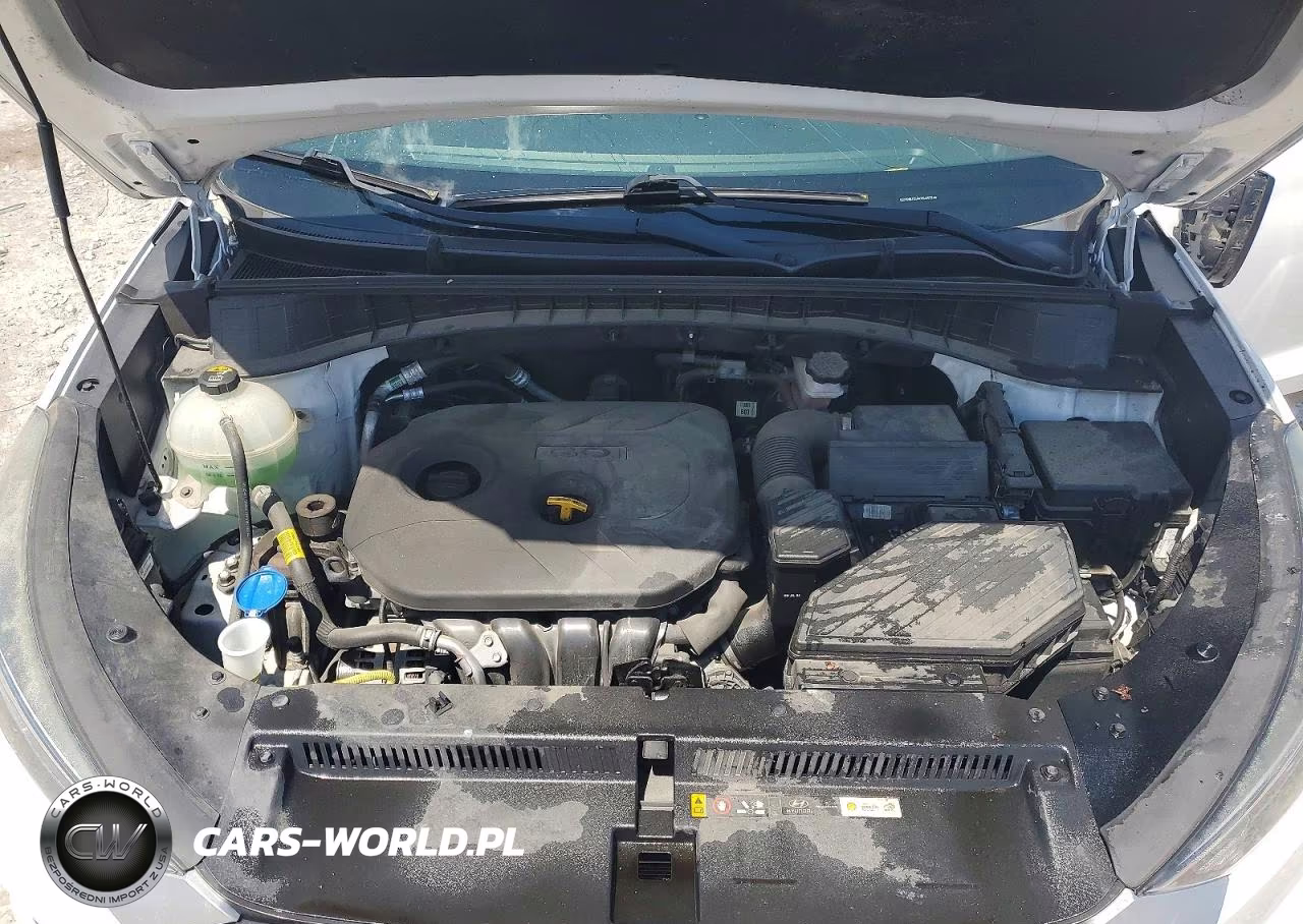 2019 Hyundai Tucson Se VIN:KM8J2CA47KU007746 - 11