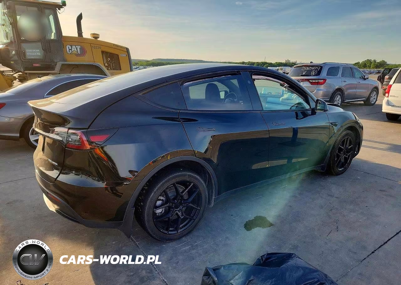 2023 Tesla Model Y VIN:7SAYGDEE1PA135106 - 3