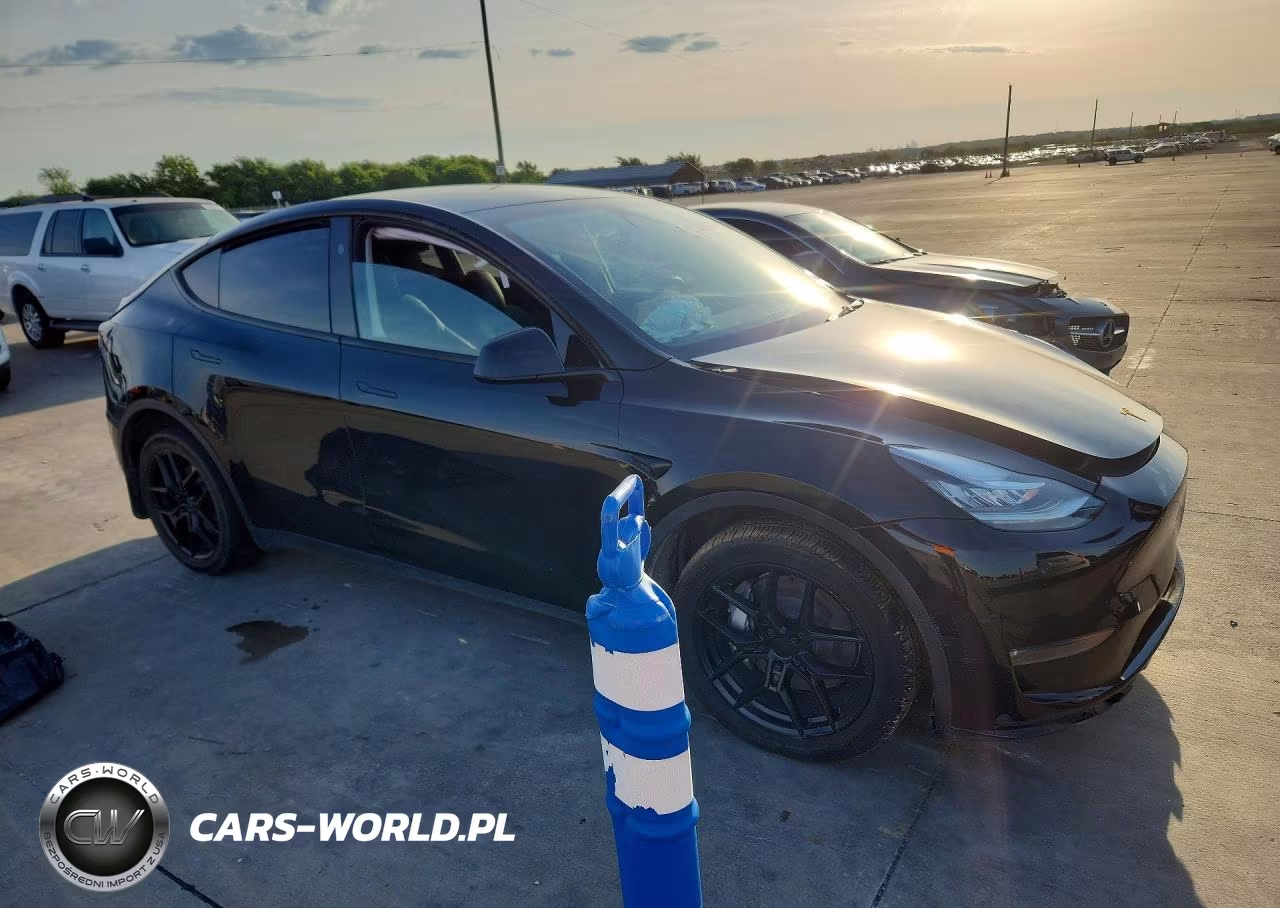 2023 Tesla Model Y VIN:7SAYGDEE1PA135106 - 4