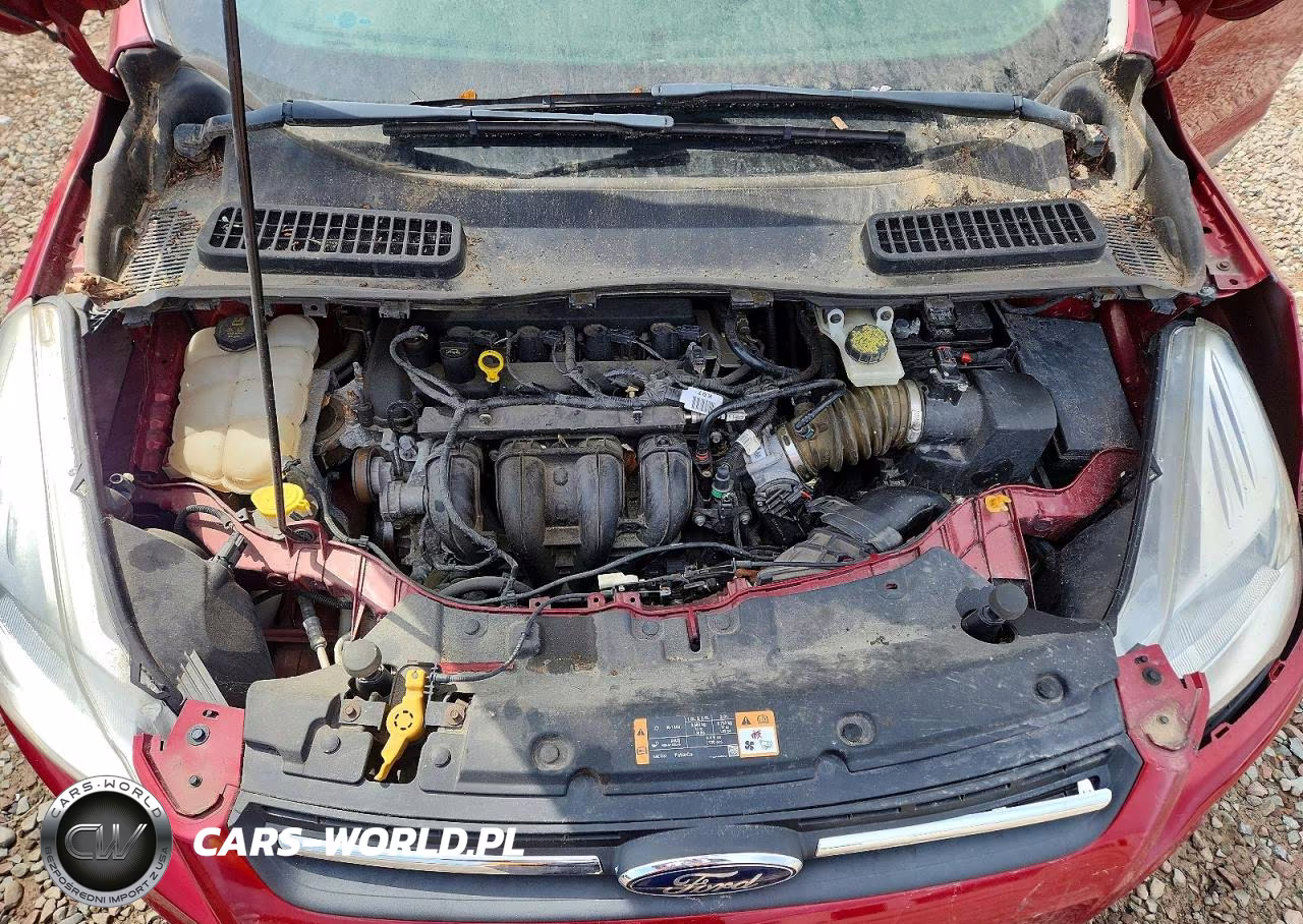 2016 Ford Escape VIN:1FMCU0G72GUC33008 - 12
