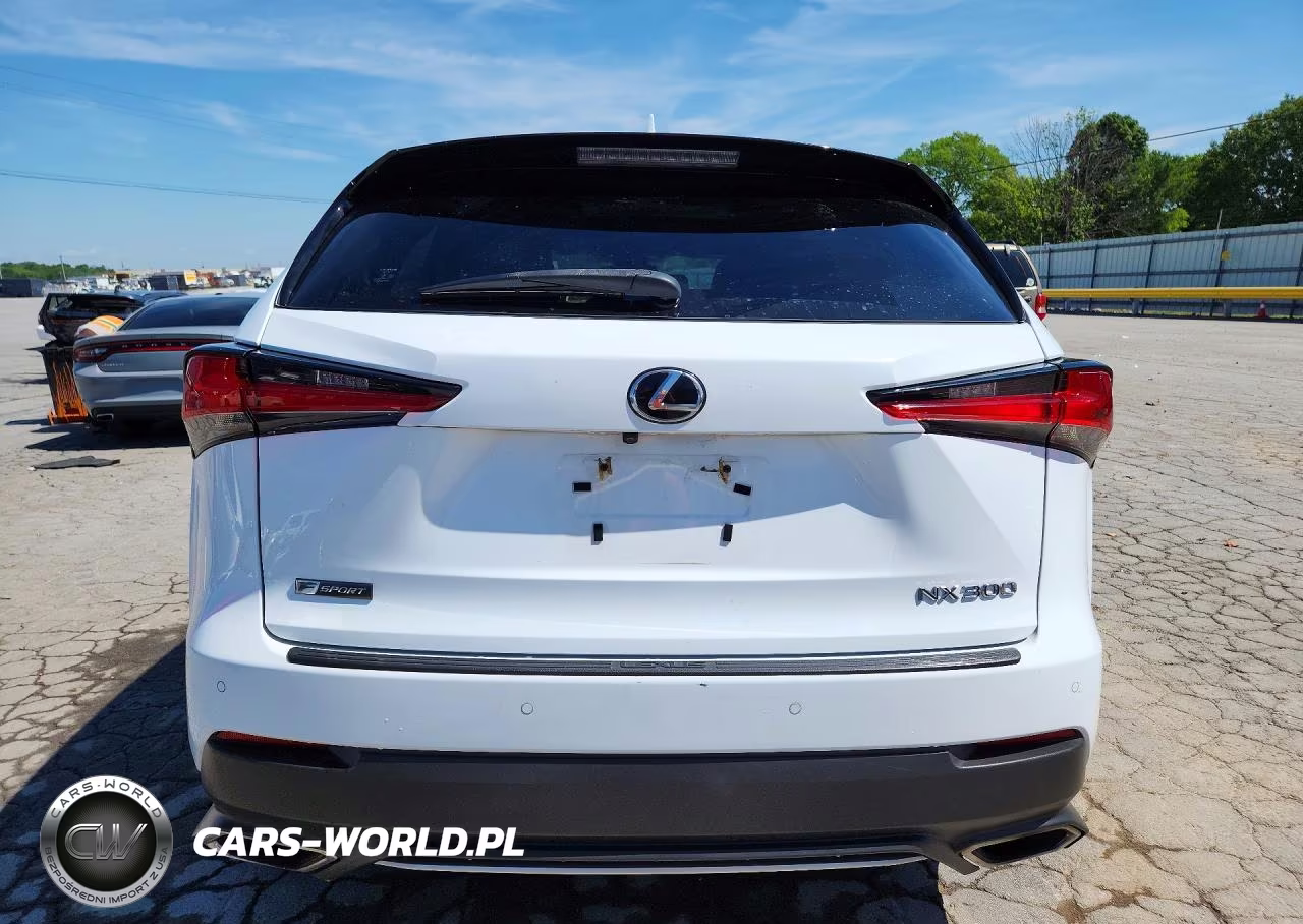 2018 Lexus Nx 300 F Sport VIN:JTJBARBZ6J2152387 - 6