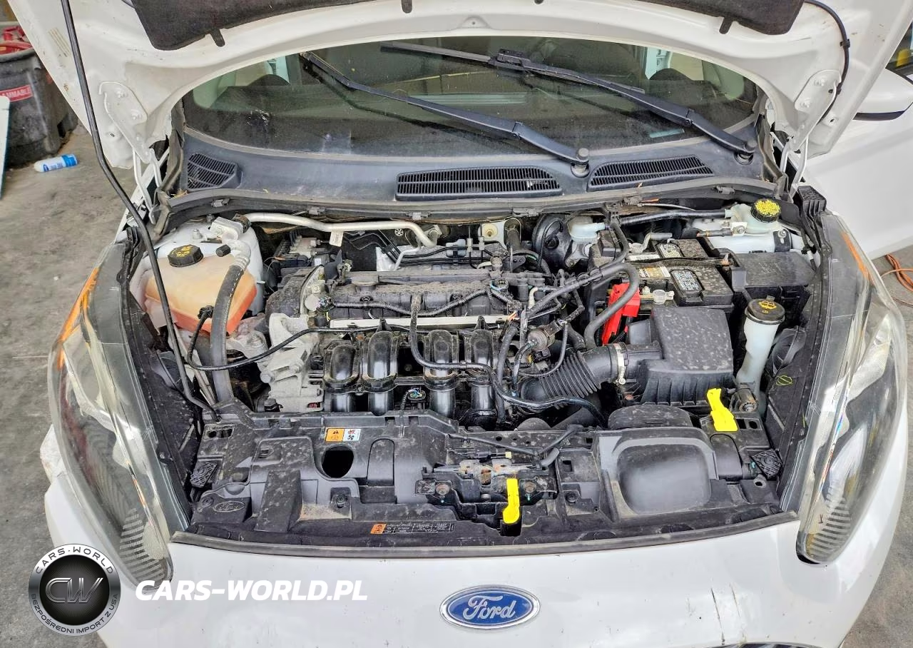 2014 Ford Fiesta VIN:3FADP4AJXEM236340 - 11