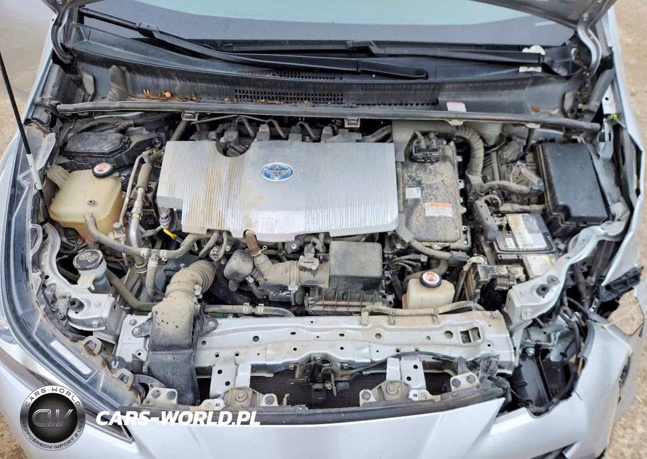 2019 Toyota Prius Xle VIN:JTDKARFU1K3094671 - 11