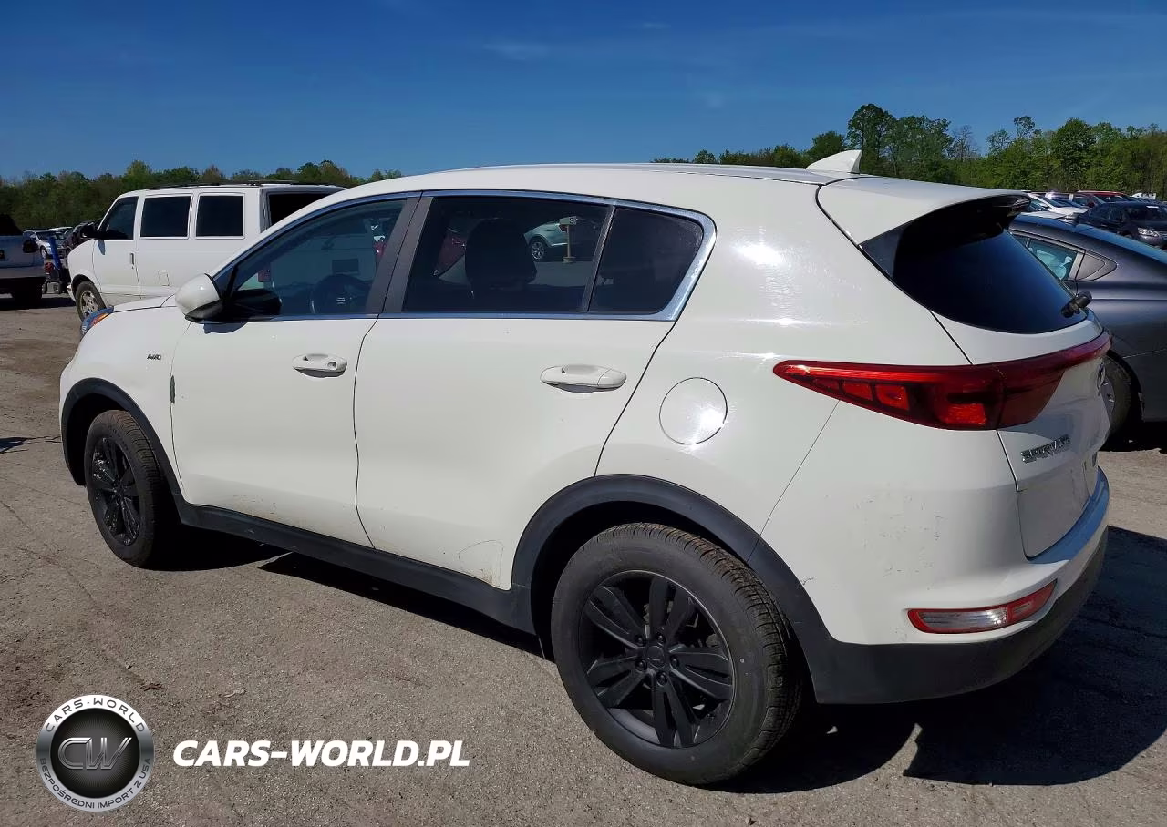 2019 Kia Sportage Lx VIN:KNDPMCAC7K7591693 - 2