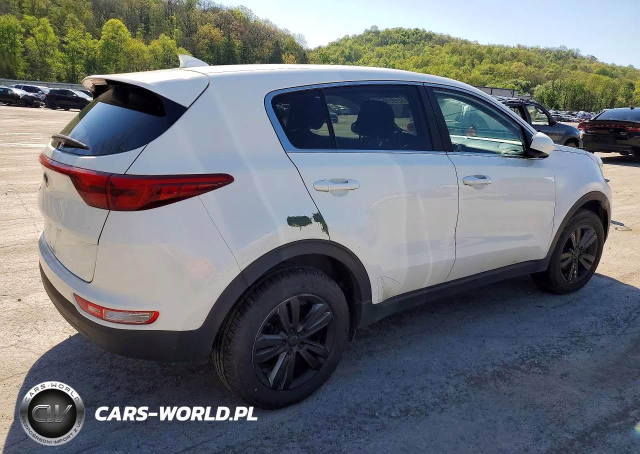 2019 Kia Sportage Lx VIN:KNDPMCAC7K7591693 - 3