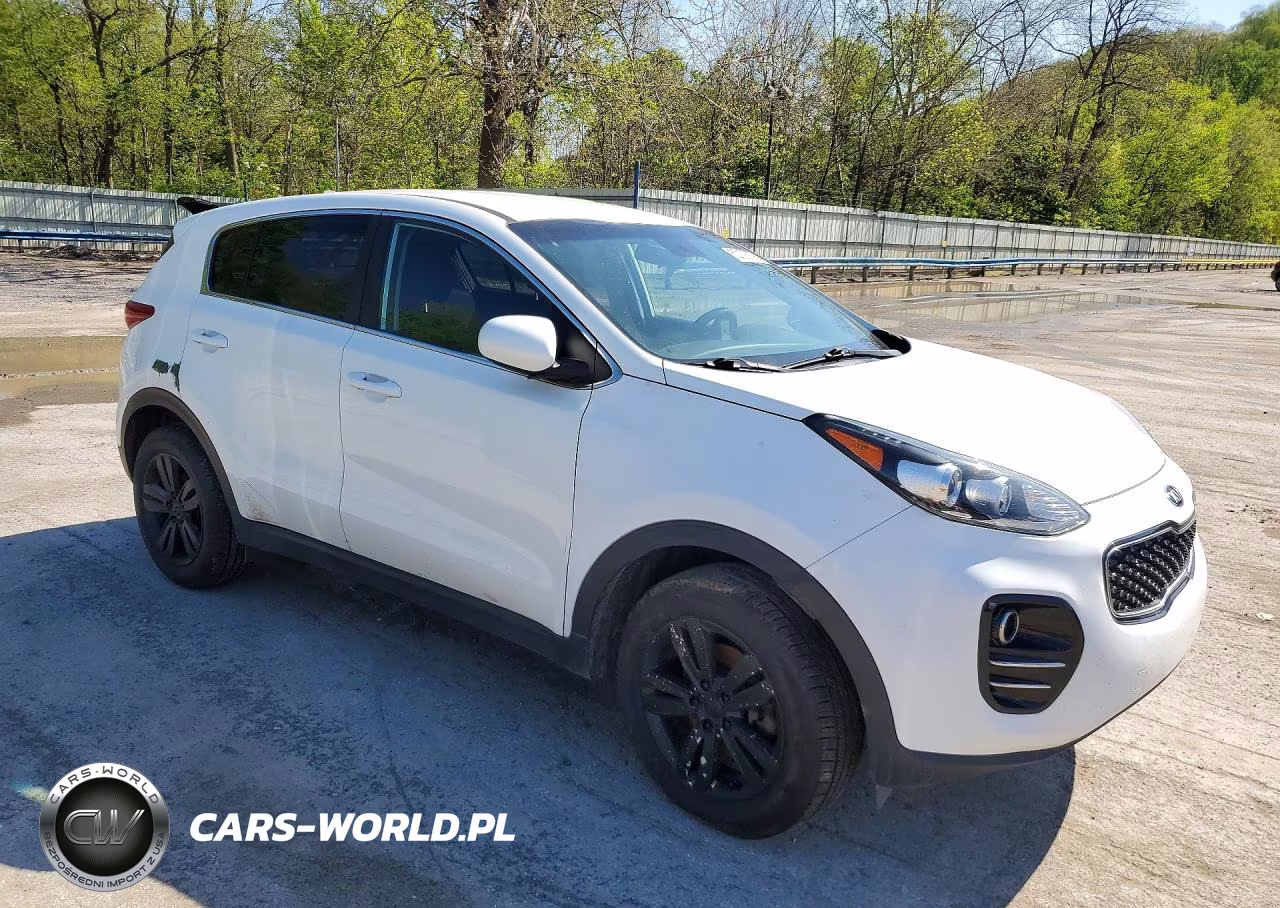 2019 Kia Sportage Lx VIN:KNDPMCAC7K7591693 - 4